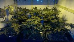 400w f2