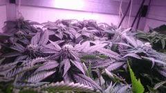 Flo22 profil