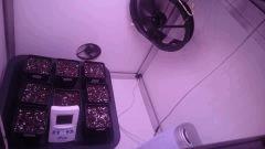 Box Interieur