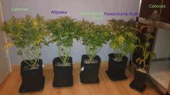 Flo62 Photo de famille