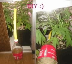 solution arrosage
