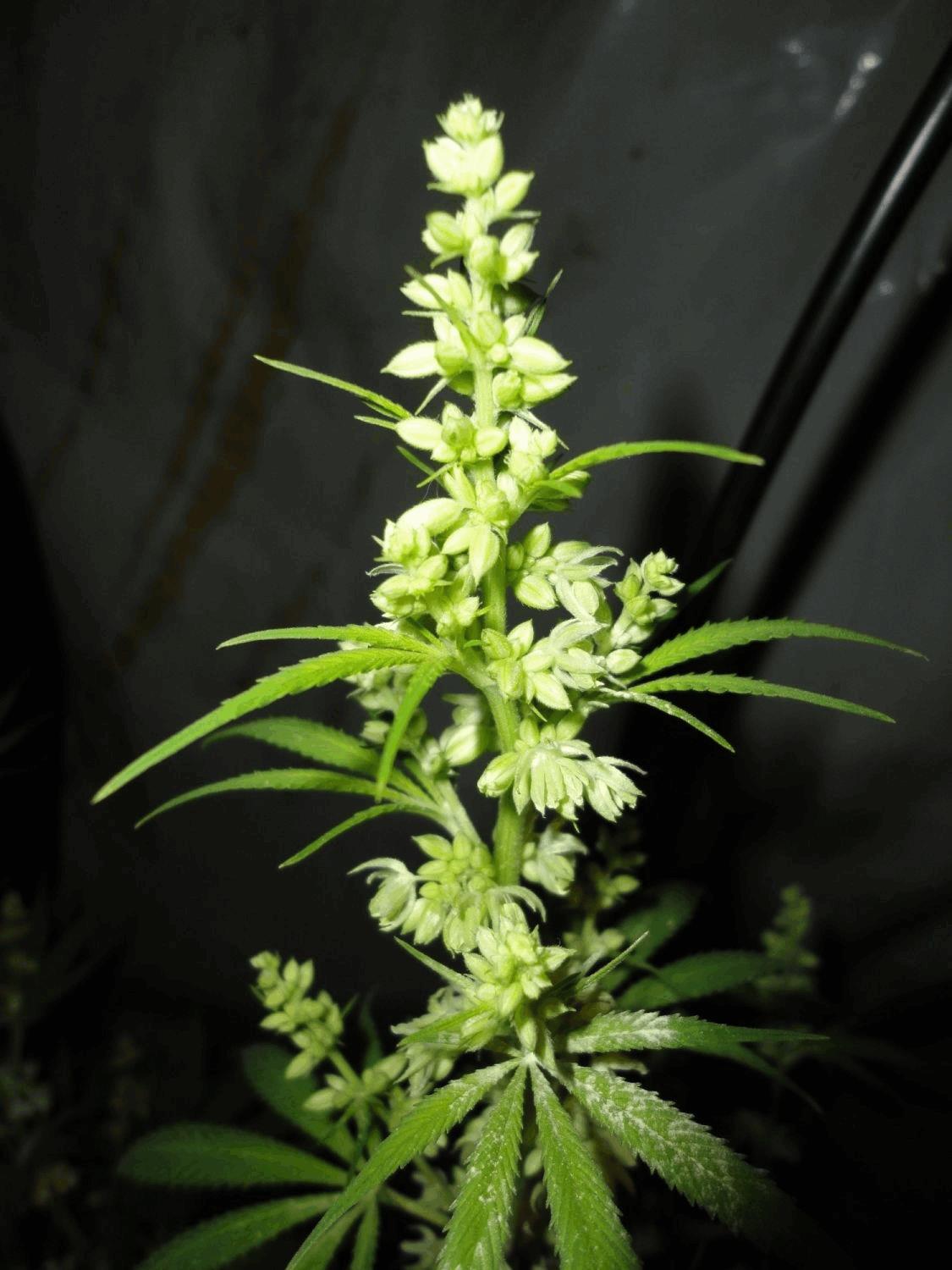 med_gallery_770987_5151_154625.jpg