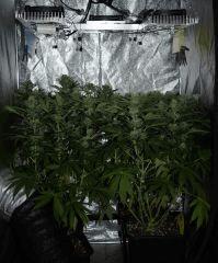 Sk1F30
