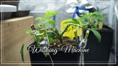 PM Washing Machine