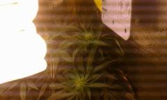 IMG 20160708 005303