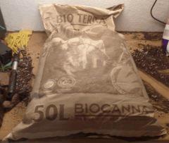 00 2 Terre floraison
