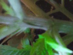 DSC 0040