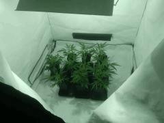 IMG 20160818 202327 (Copier)