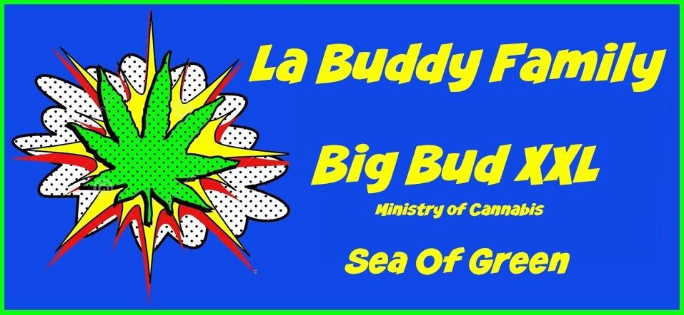 JDC Big Bud XXL
