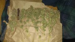 power plant