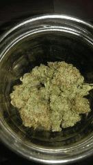 big bud