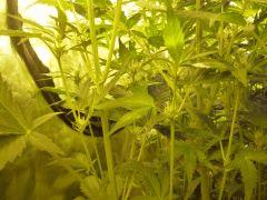 P1110032