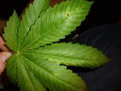 P1110014