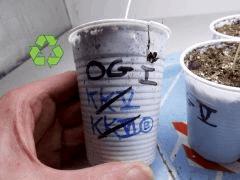 recyclage