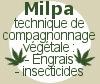 00 milpa