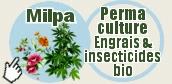 00  milpa B texte 2 clic