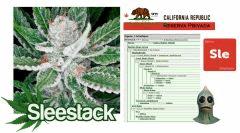 sleestack