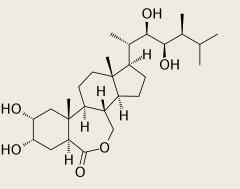 1200px Brassinolide2.svg B