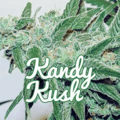 étiquette kandy kush 2b