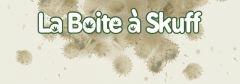 boite à skuff