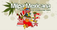 milpa mexicana