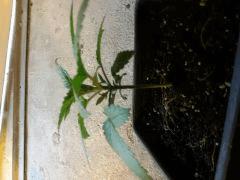 20160917 084907