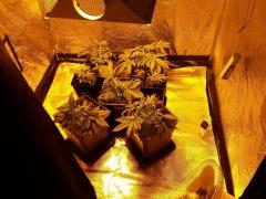 C 25 VUE D'ENSEMBLE DS LA NEW BOX