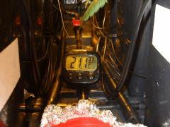 DSCF7092 (FILEminimizer)