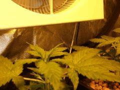 DSCF6891 (FILEminimizer)