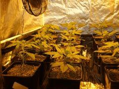 DSCF6887 (FILEminimizer)