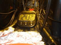 DSCF7049 (FILEminimizer)