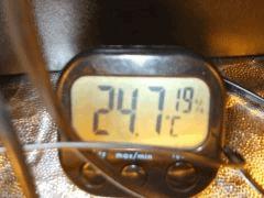 DSCF6881 (FILEminimizer)