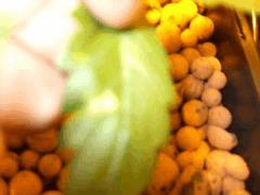 DSCF6911 (FILEminimizer)