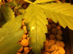 DSCF6910 (FILEminimizer)