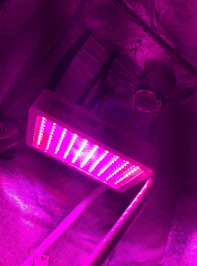 LED Roleadro 300W (140W réels)