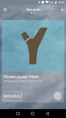 01flower