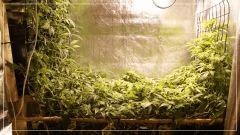 Flo +17 U SCROG Vue face