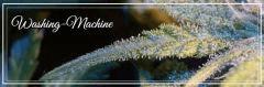 Washing-Machine tritri