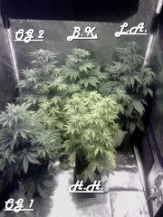 F 10 ~ F 15