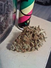 Honolulu Haze (2)