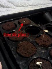 Jumelles JTR ! (2)