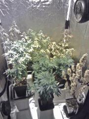Nouvelles JTR A En Flo'