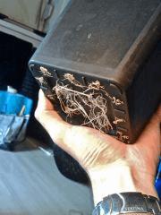 Racines PM