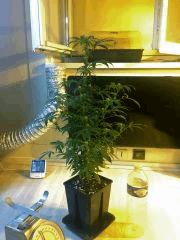 Clone JTR 3,4L, F6 (1)