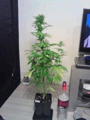 JTR I F 23