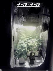 F 10 ~ F 15 (2)
