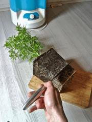 Root Trimming (3)