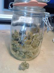 OG Kush 2   28 Gr