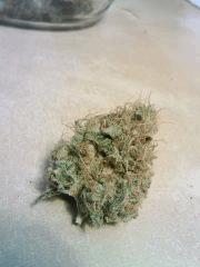 OG Kush 2