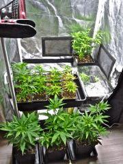 Espace cro'